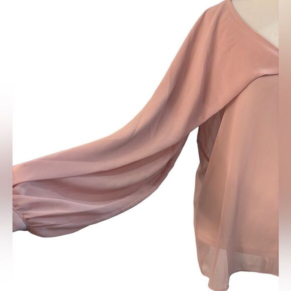 NWT Blugirl Folies Blush Pink Blouse - Picture 3 of 9
